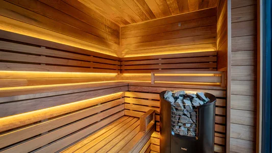 Cedar sauna room installation Delhi farmhouse